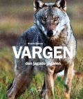 Vargen  - den jagade jägaren