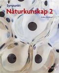 Synpunkt 2