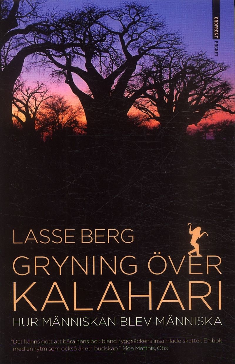 Gryning över Kalahari : hur människan blev människa