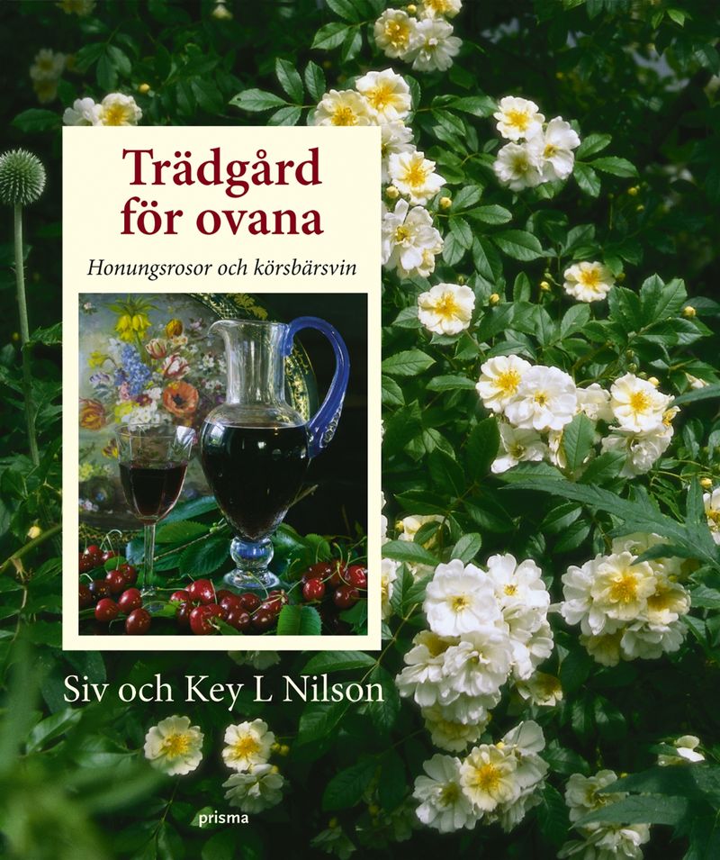Trädgård för ovana - Honungsrosor och körsbärsvin