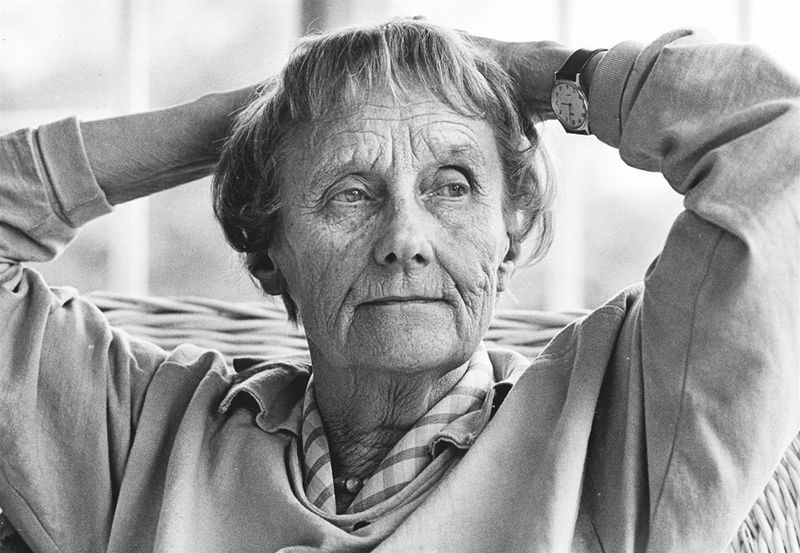 Lindgren Astrid/Bröderna Lejonhjärta