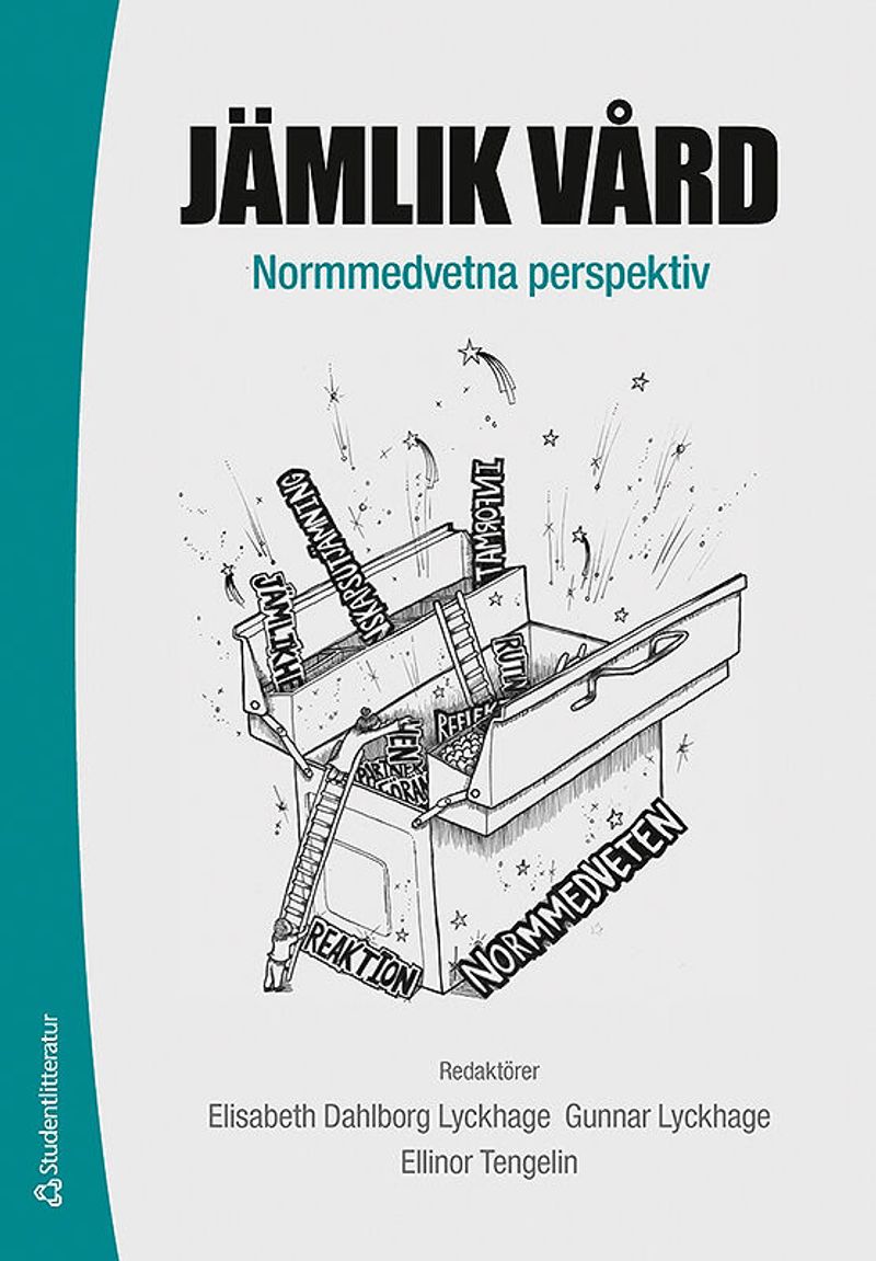 Jämlik vård : normmedvetna perspektiv