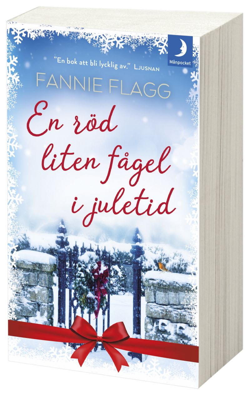 En röd liten fågel i juletid