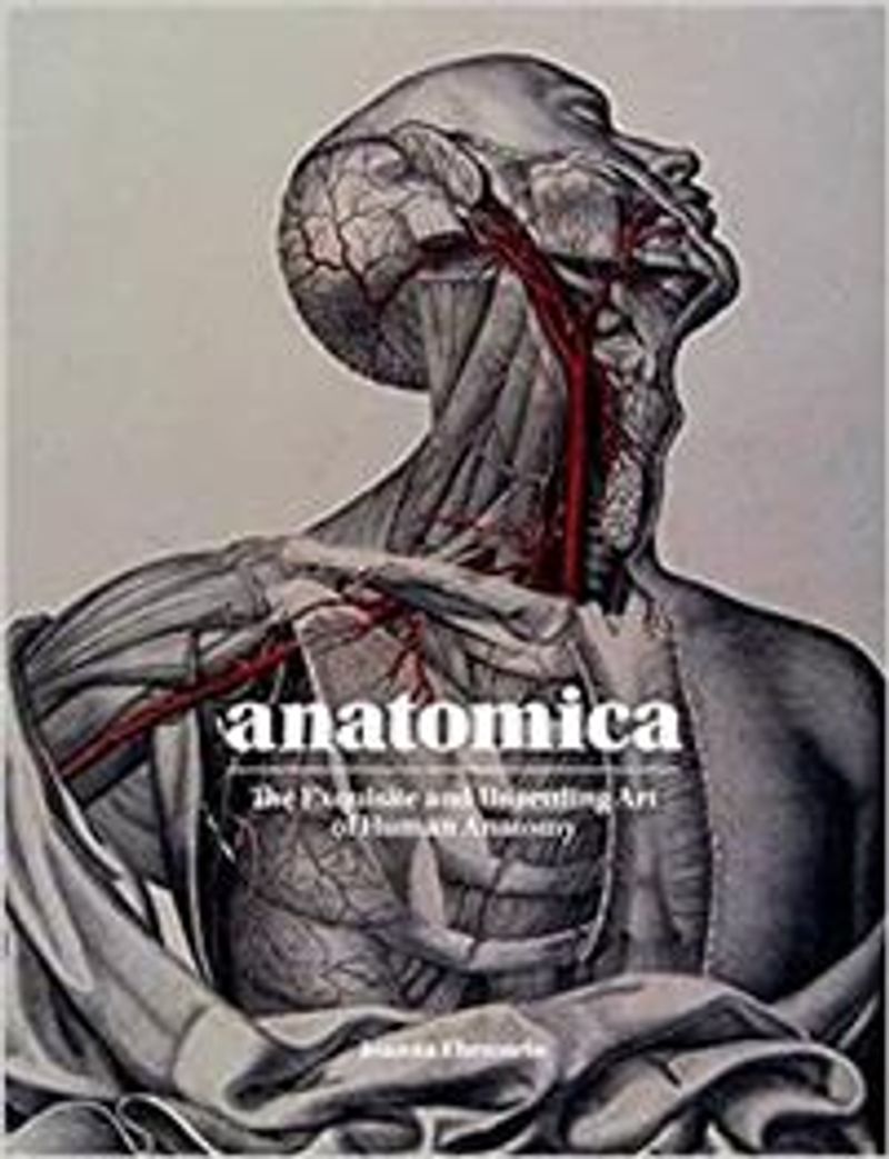 Anatomica