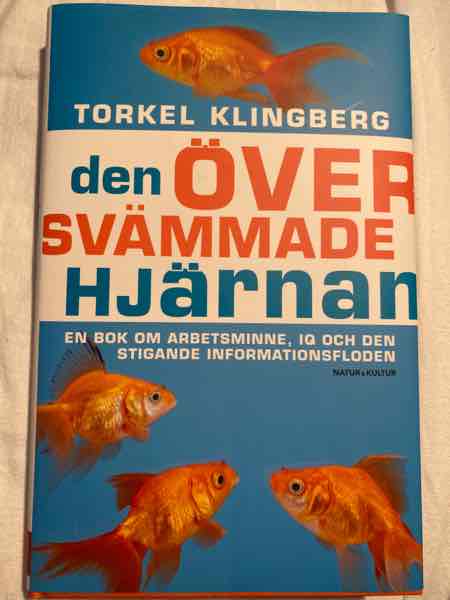Den översvämmade hjärnan 
