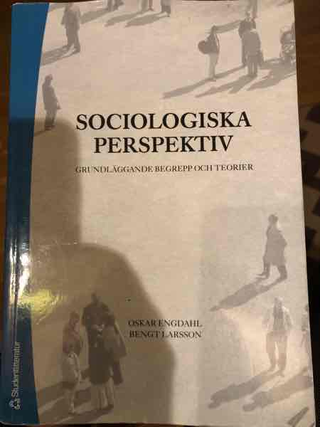 Sociologiska perspektiv 