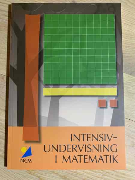 Intensivundervisning i Matematik 