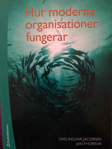 Hur moderna organisationer fungerar
