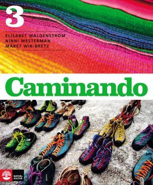 Caminando 3
