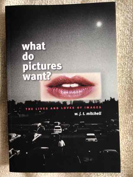 What Do Pictures Want?
