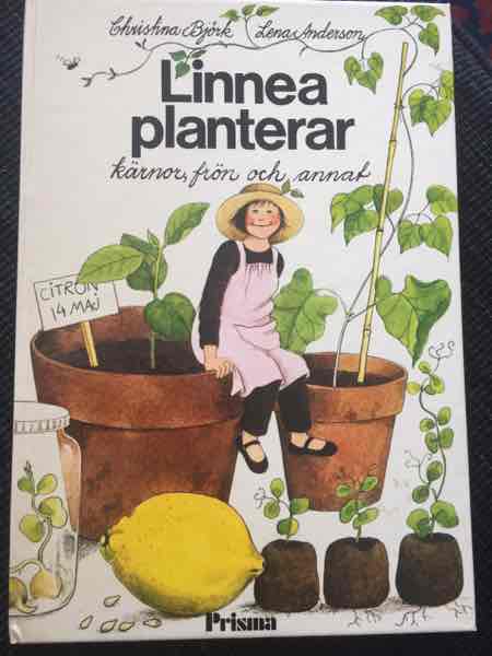 Linnea planterar