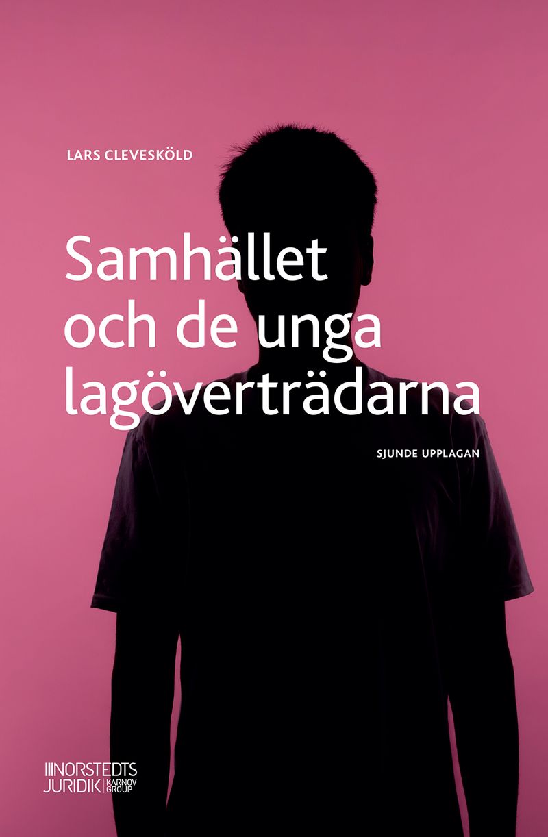 Samhället och de unga lagöverträdarna