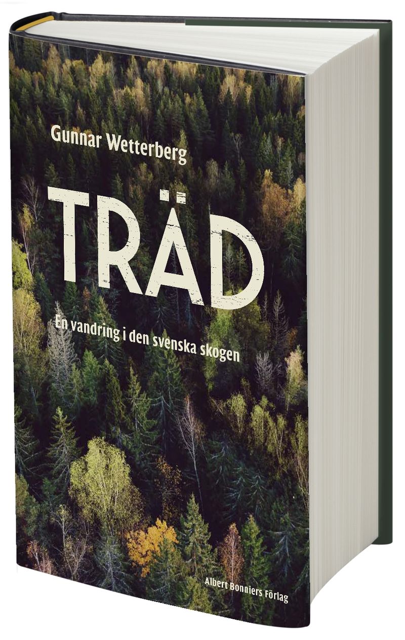 Träd : en vandring i den svenska skogen