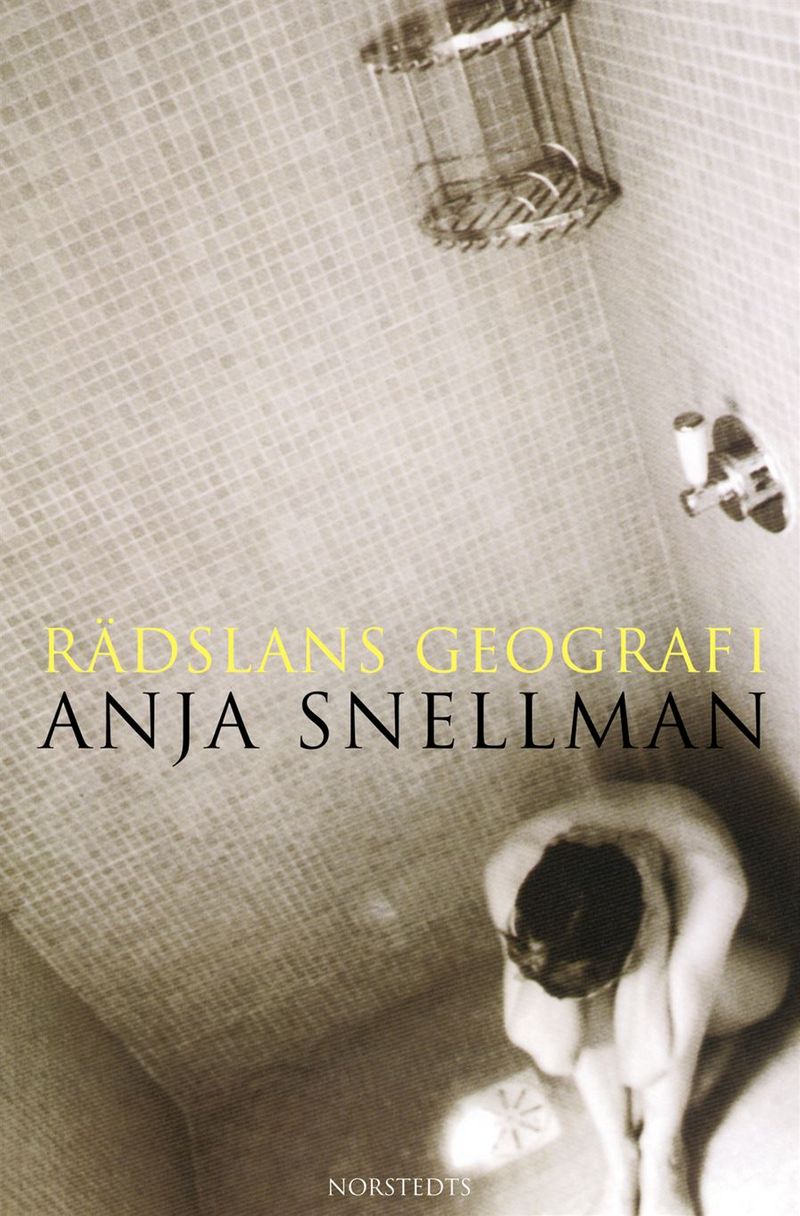 Rädslans geografi : roman