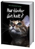 Hur tänker din katt?