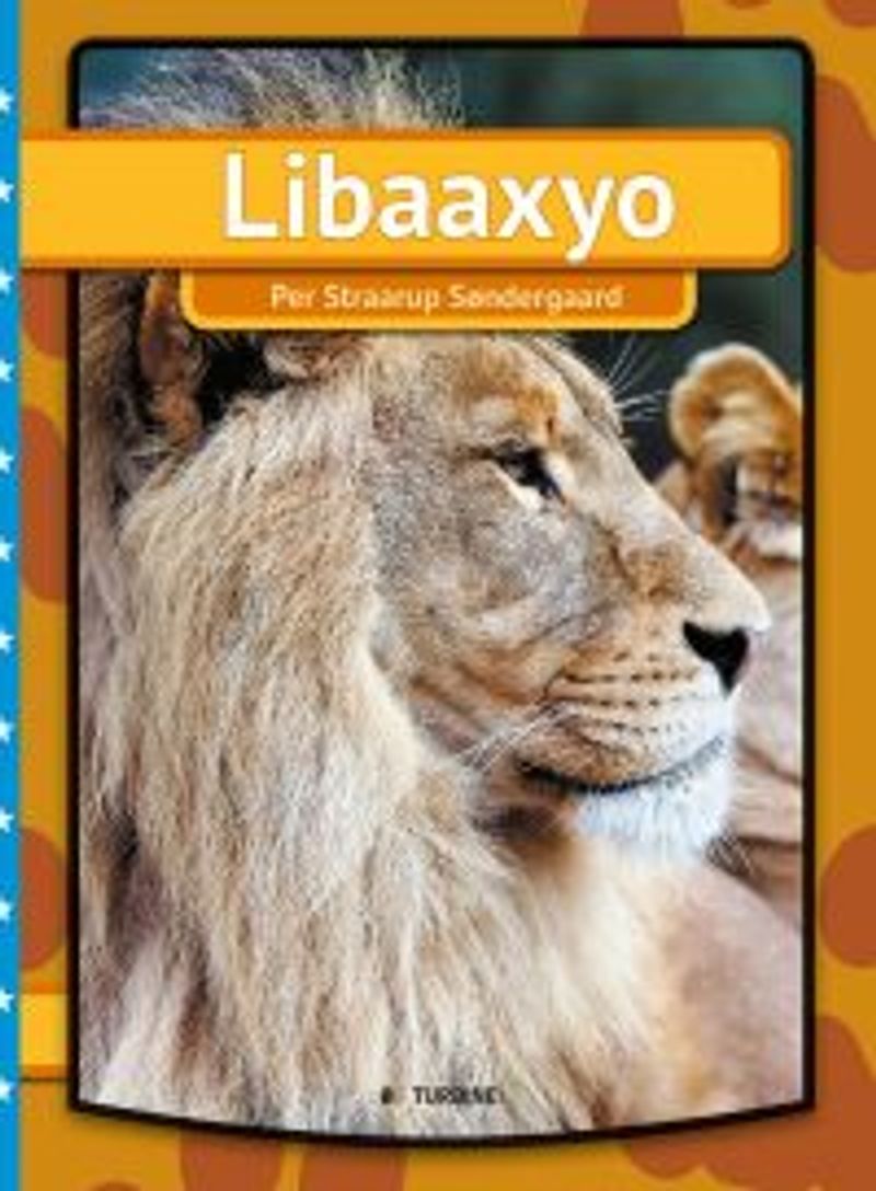Lejon (somalisk)