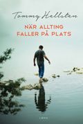 När allting faller på plats : en bok om att finna mening