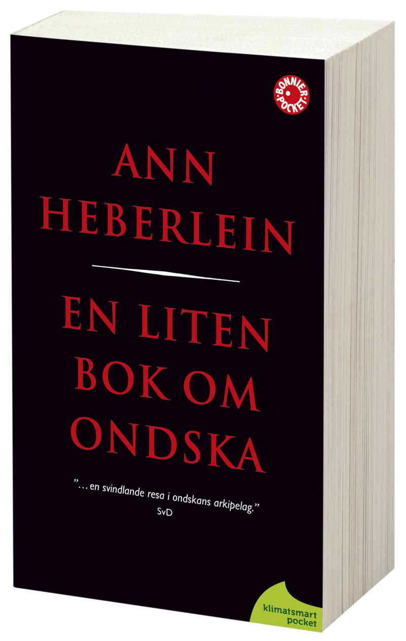 En liten bok om ondska