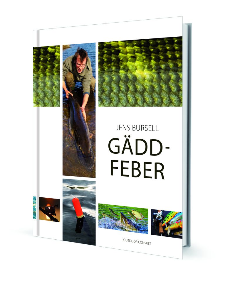 Gäddfeber