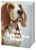 Hur tänker din hund?