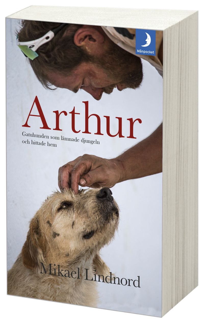 Arthur : gatuhunden som lämnade djungeln och hittade hem