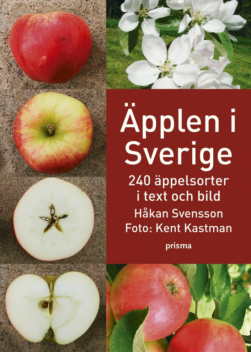Äpplen i Sverige - 240 äppelsorter i text och bild