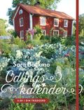 Odlingskalender : 5 år i din trädgård