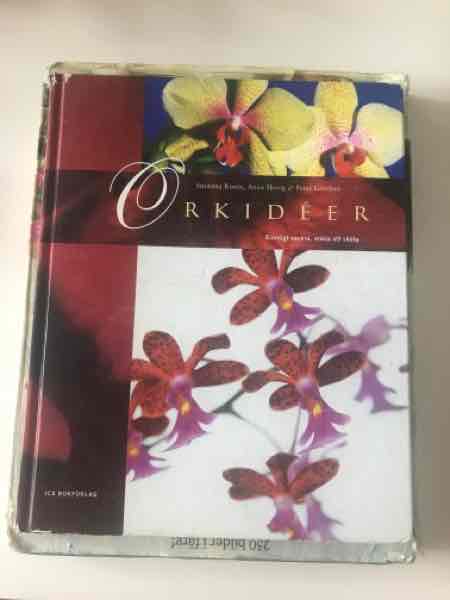 Orkidéer 