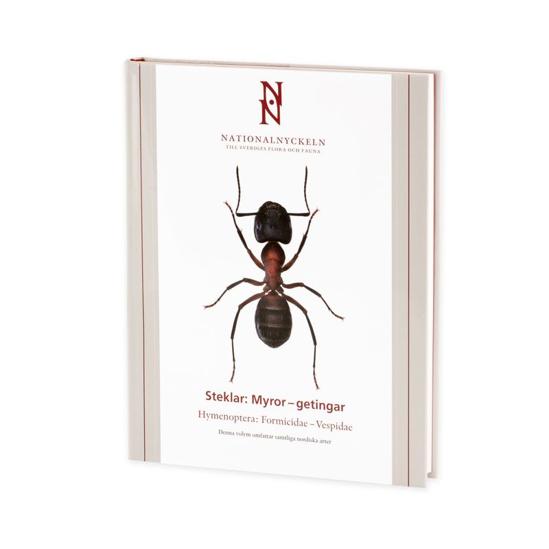 Steklar : myror - getingar. Hymenoptera : formicidae - vespidae