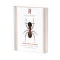 Steklar : myror - getingar. Hymenoptera : formicidae - vespidae