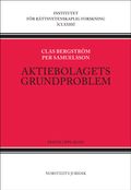 Aktiebolagets grundproblem