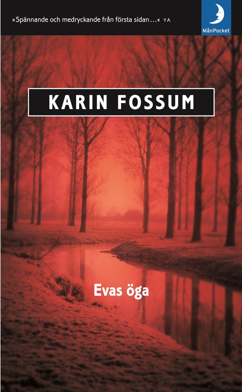 Evas öga