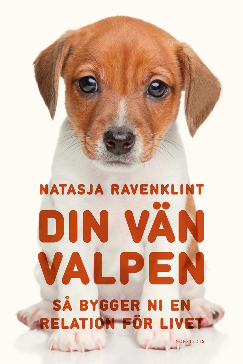 Din vän valpen : så bygger ni en relation för livet