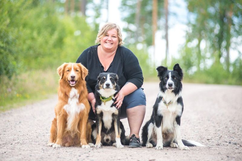 Blygerhundar : så gör du din hund till en superhjälte