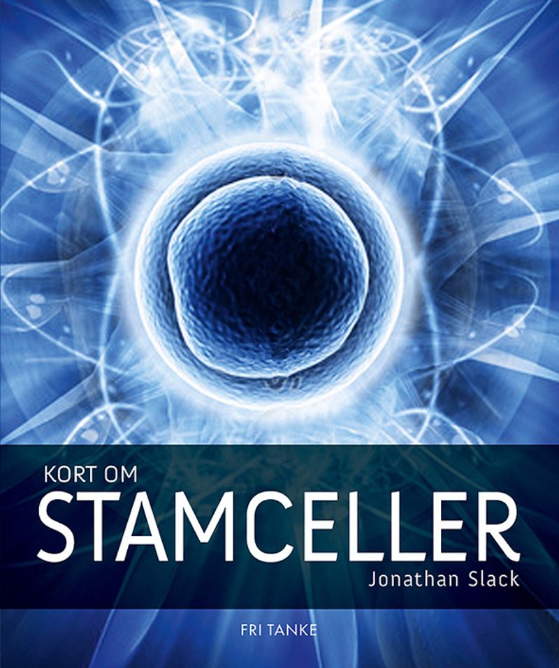 Kort om stamceller