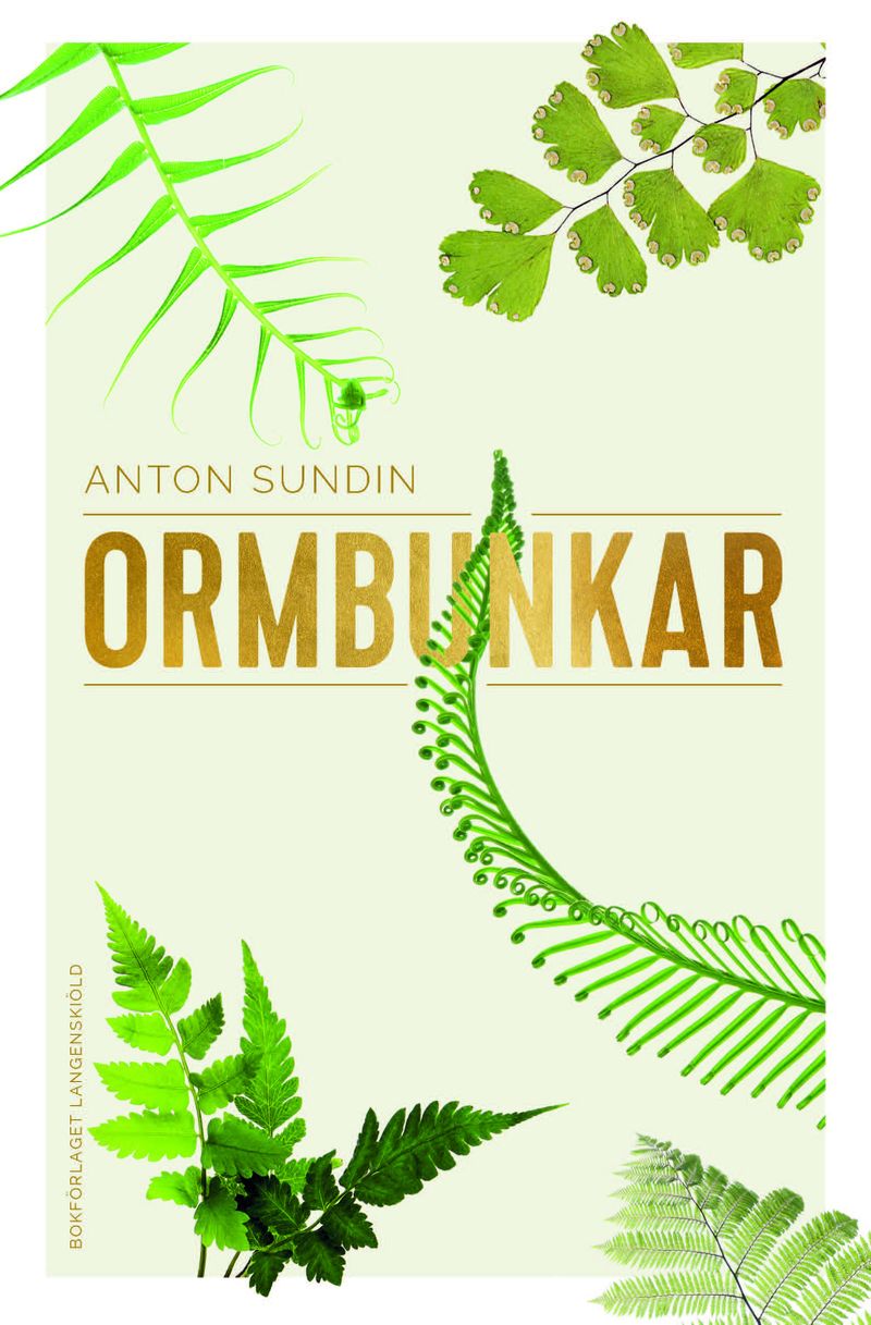 Ormbunkar