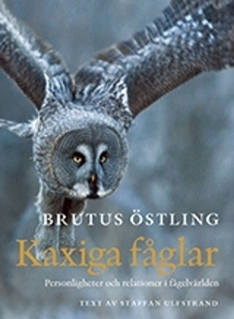 Kaxiga fåglar : personligheter och relationer i fågelvärlden